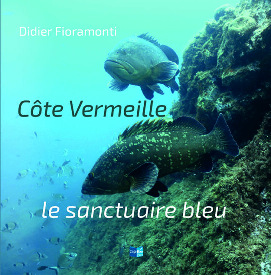 Côte Vermeille le Sanctuaire Bleu