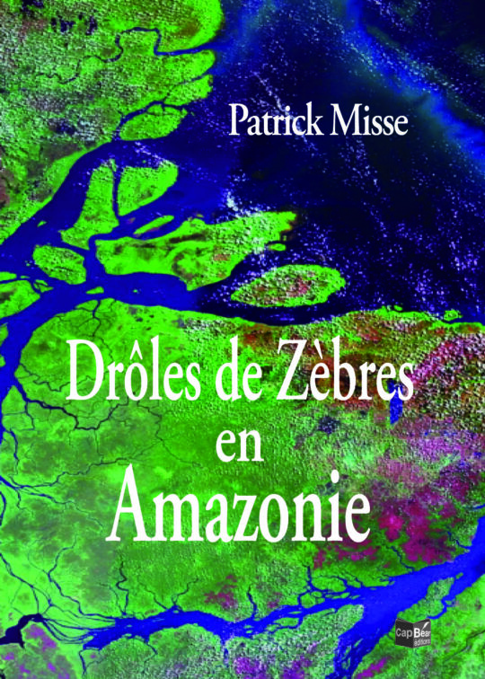 Drôles de Zèbres en Amazonie