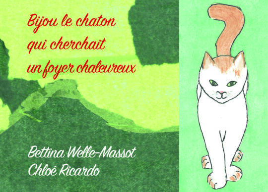 Bijou le chaton qui cherchait un foyer chaleureux
